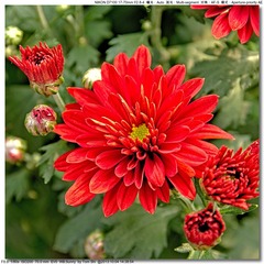 s_DSC_2662