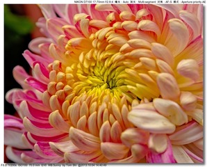 s_DSC_2664