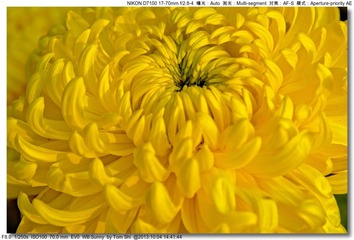 s_DSC_2665