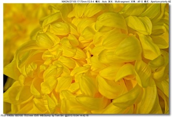 s_DSC_2667