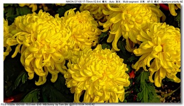 s_DSC_2668