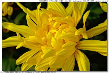 s_DSC_2669