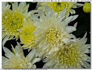 s_DSC_2671