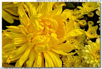 s_DSC_2674