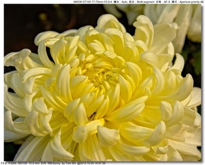 s_DSC_2675