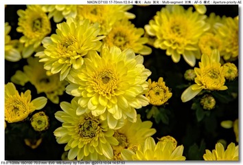 s_DSC_2676