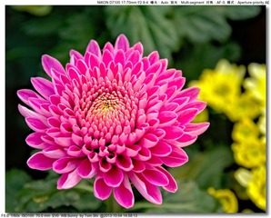 s_DSC_2677