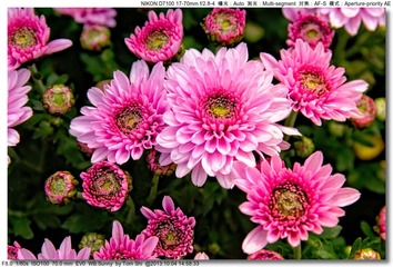 s_DSC_2678