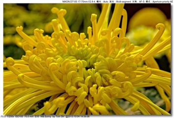 s_DSC_2680