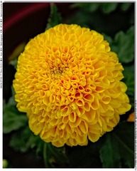 s_DSC_2681