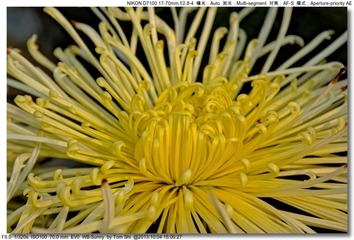s_DSC_2683