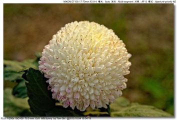 s_DSC_2684