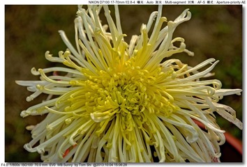 s_DSC_2688