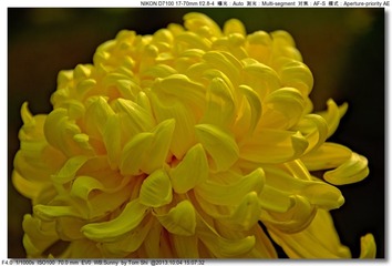 s_DSC_2690