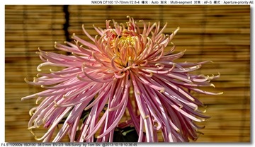 s_DSC_3351