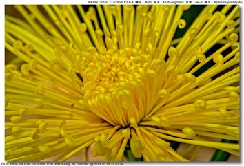 s_DSC_3363