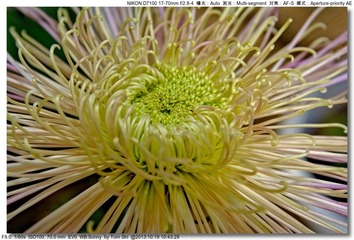s_DSC_3364