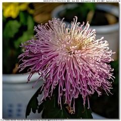 s_DSC_3410