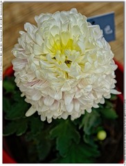 s_DSC_3428