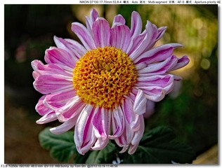 s_DSC_3457