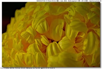 s_DSC_3338