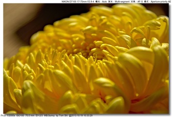 s_DSC_3347