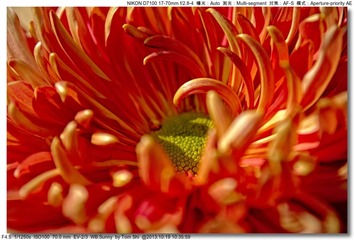 s_DSC_3349