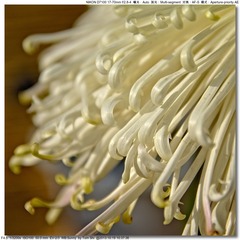 s_DSC_3353