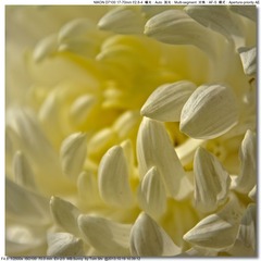 s_DSC_3358