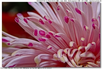 s_DSC_3368