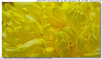 s_DSC_3369