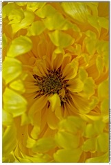 s_DSC_3373