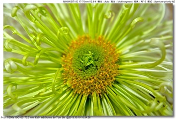 s_DSC_3384