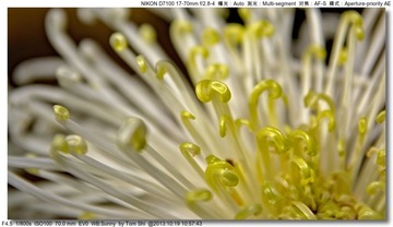 s_DSC_3389