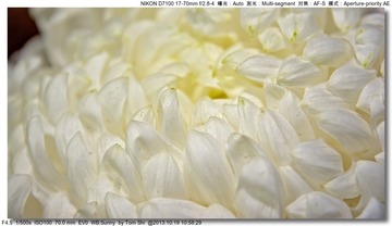 s_DSC_3390