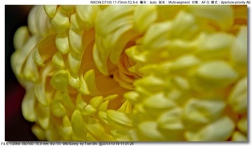 s_DSC_3395