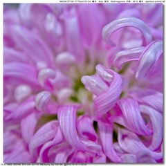 s_DSC_3396