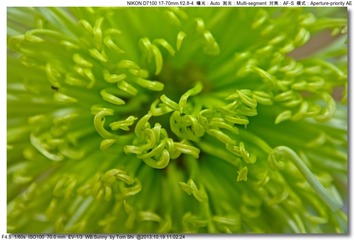 s_DSC_3397