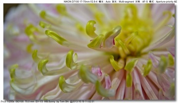 s_DSC_3398
