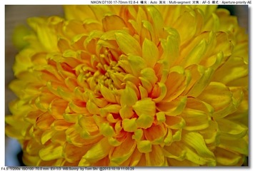 s_DSC_3403