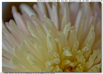 s_DSC_3413