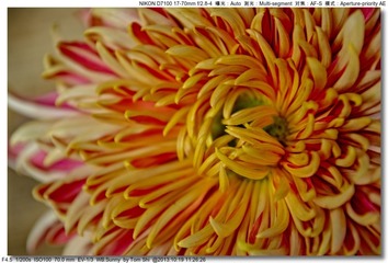 s_DSC_3422