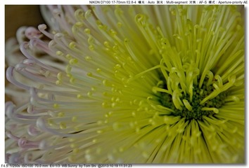 s_DSC_3431