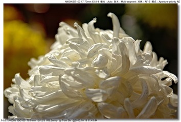 s_DSC_3448