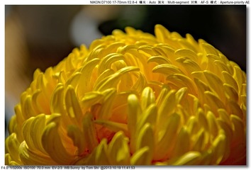 s_DSC_3449
