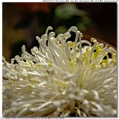 s_DSC_3450