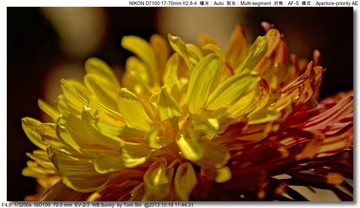s_DSC_3453