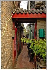 s_DSC_2827