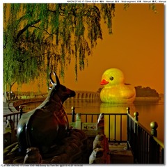 s_DSC_3780