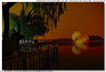 s_DSC_3789